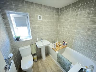 Picture 20